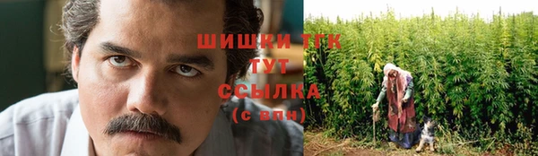 сатива Покровск