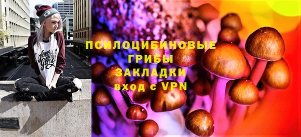сатива Покровск