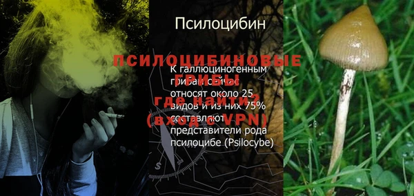 сатива Покровск