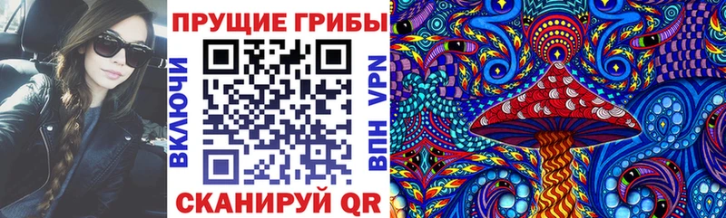 Галлюциногенные грибы Psilocybine cubensis  Татарск 