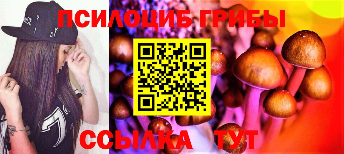 Галлюциногенные грибы ЛСД  Татарск  Псилоцибиновые грибы MAGIC MUSHROOMS 