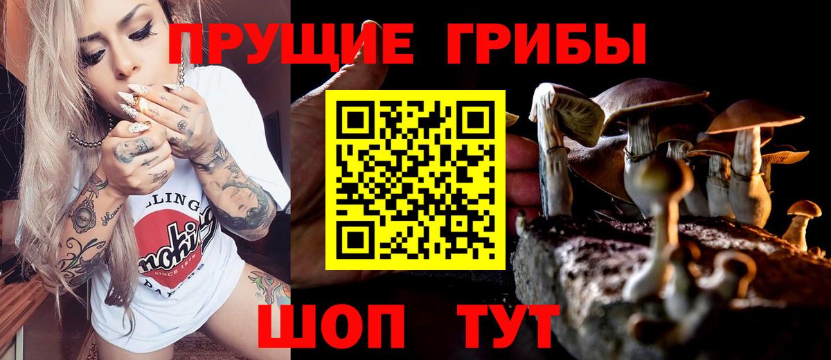 Галлюциногенные грибы Psilocybine cubensis  Вход с VPN  продажа наркотиков  Татарск 